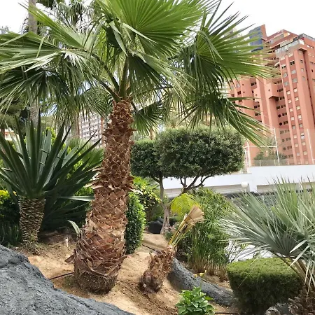 Appartement Levante Beach Calle Londres Benidorm